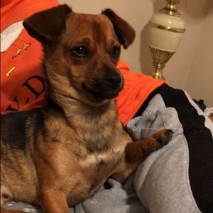 Meet your Posher, Bryan